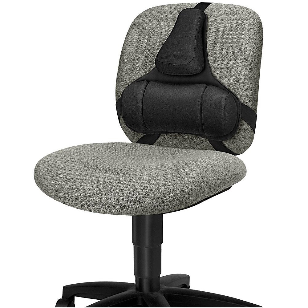 Fellowes Professional Series Back Support with Microban Protection