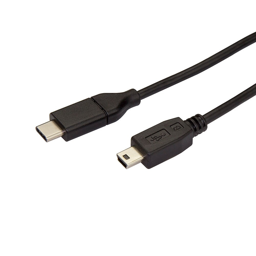 StarTech 6 ft Male USB-C to Male Mini-USB Cable