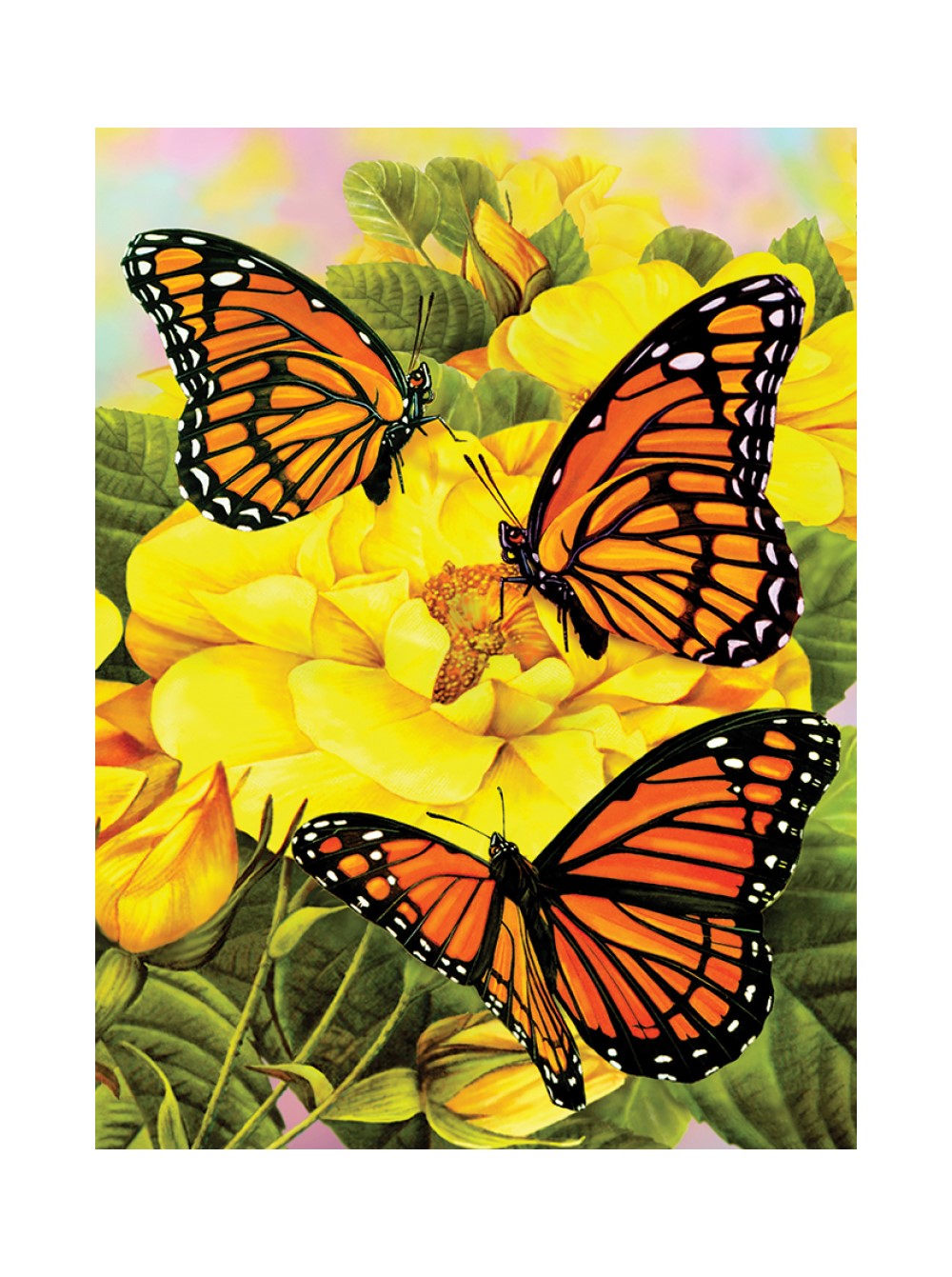 Royal and Langnickel Painting By Numbers Majestic Monarchs