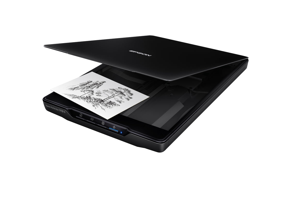 Epson Perfection V19 II Colour Scanner