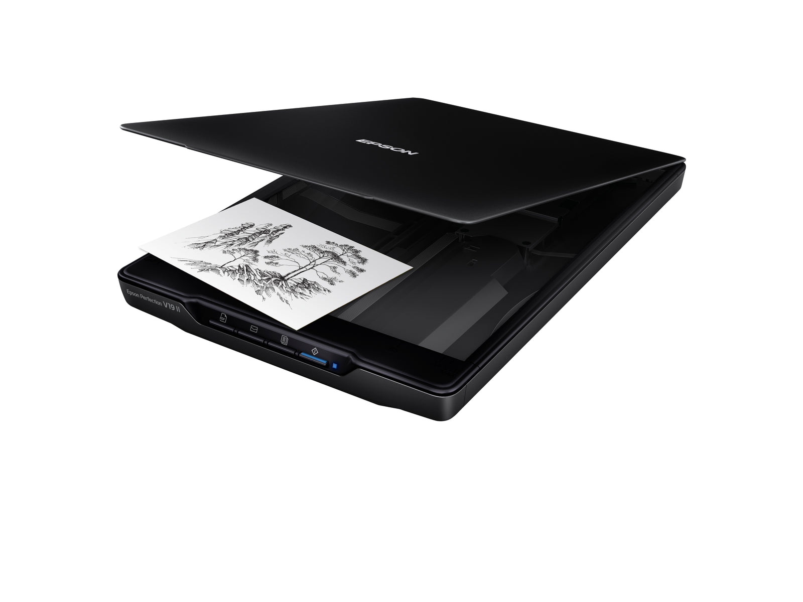 Epson Perfection V19 II Colour Scanner