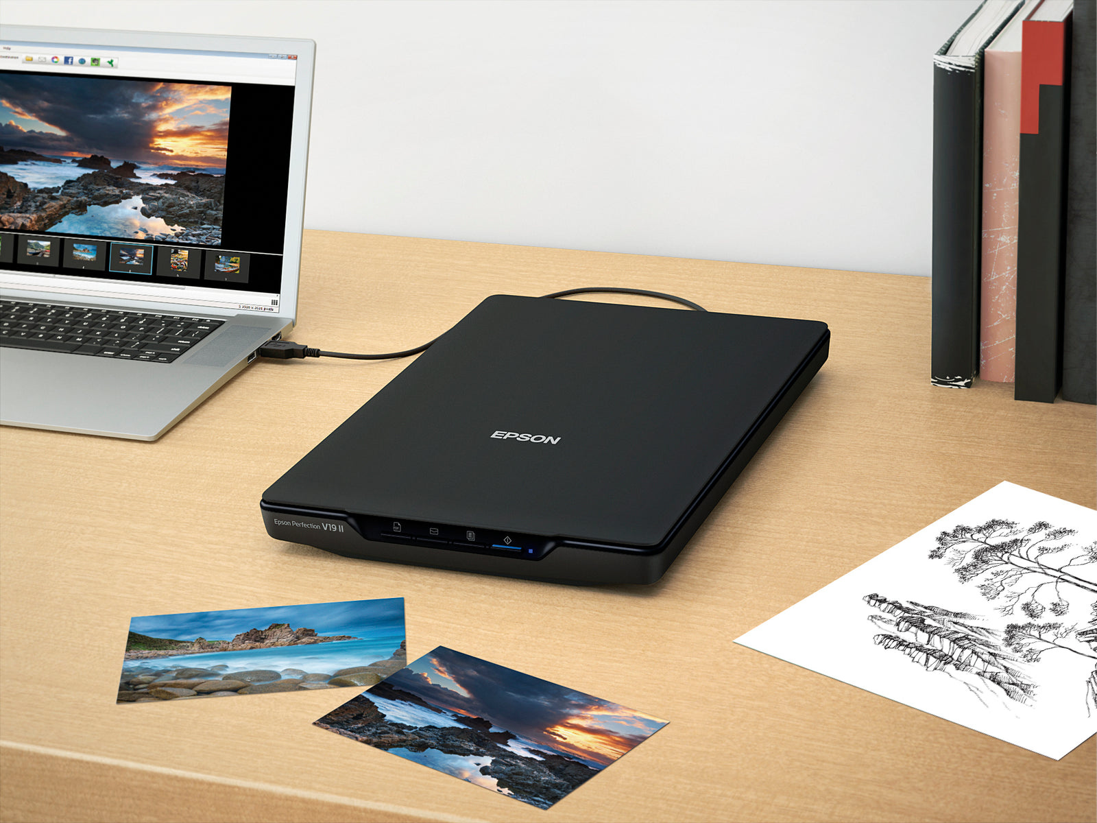 Epson Perfection V19 II Colour Scanner