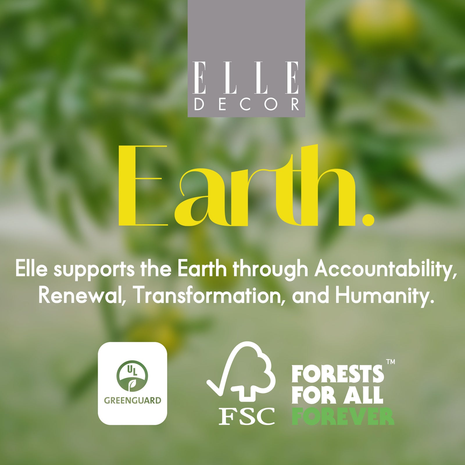 Elle Décor Lisette Ellegant Office Chair Ivory