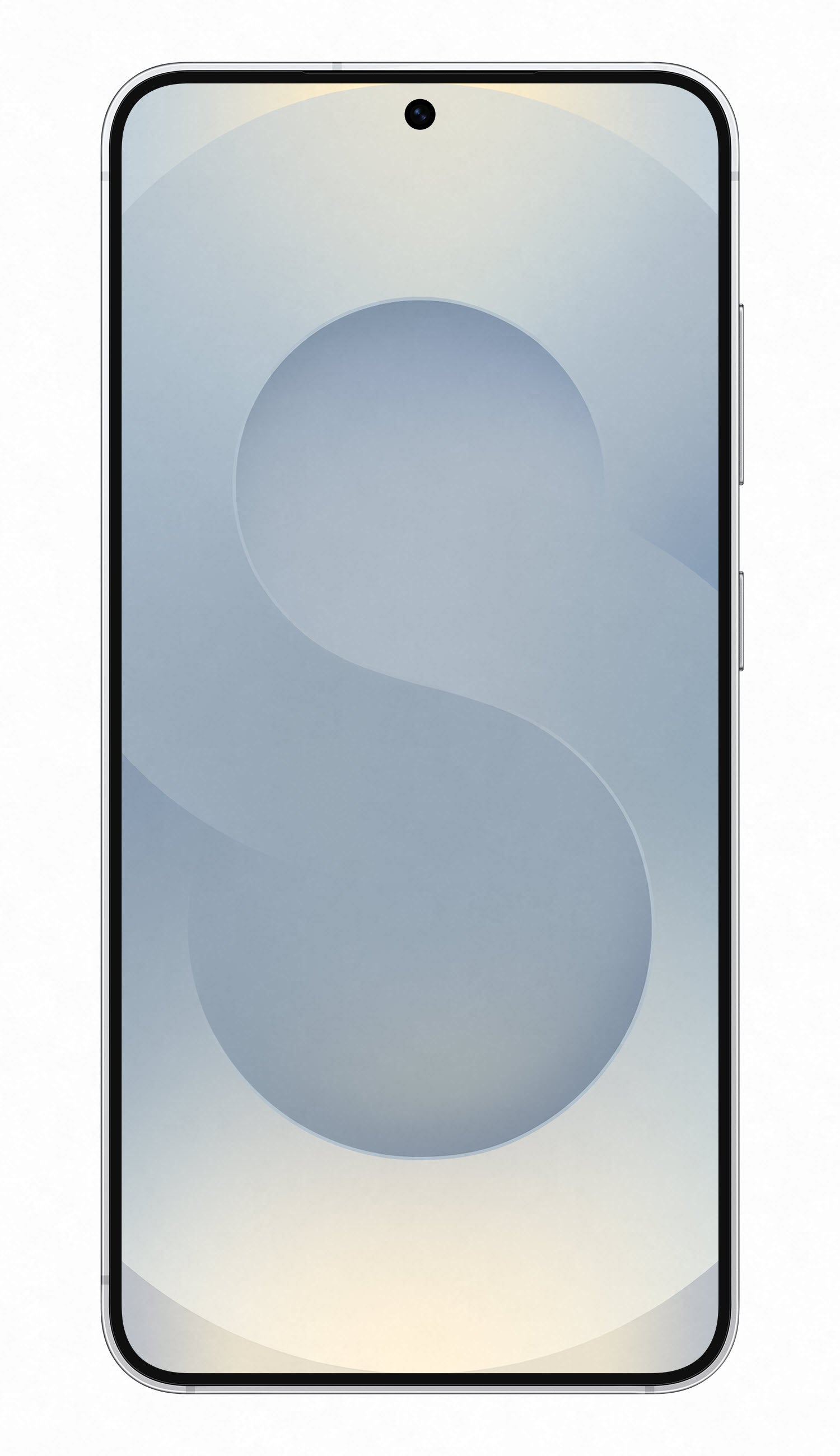 Samsung Galaxy S25 SM-S931 128GB Smartphone Silver Shadow