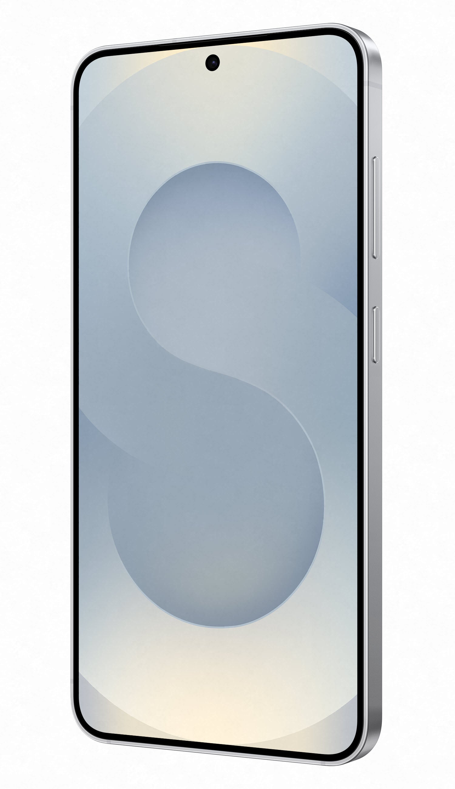 Samsung Galaxy S25 SM-S931 128GB Smartphone Silver Shadow