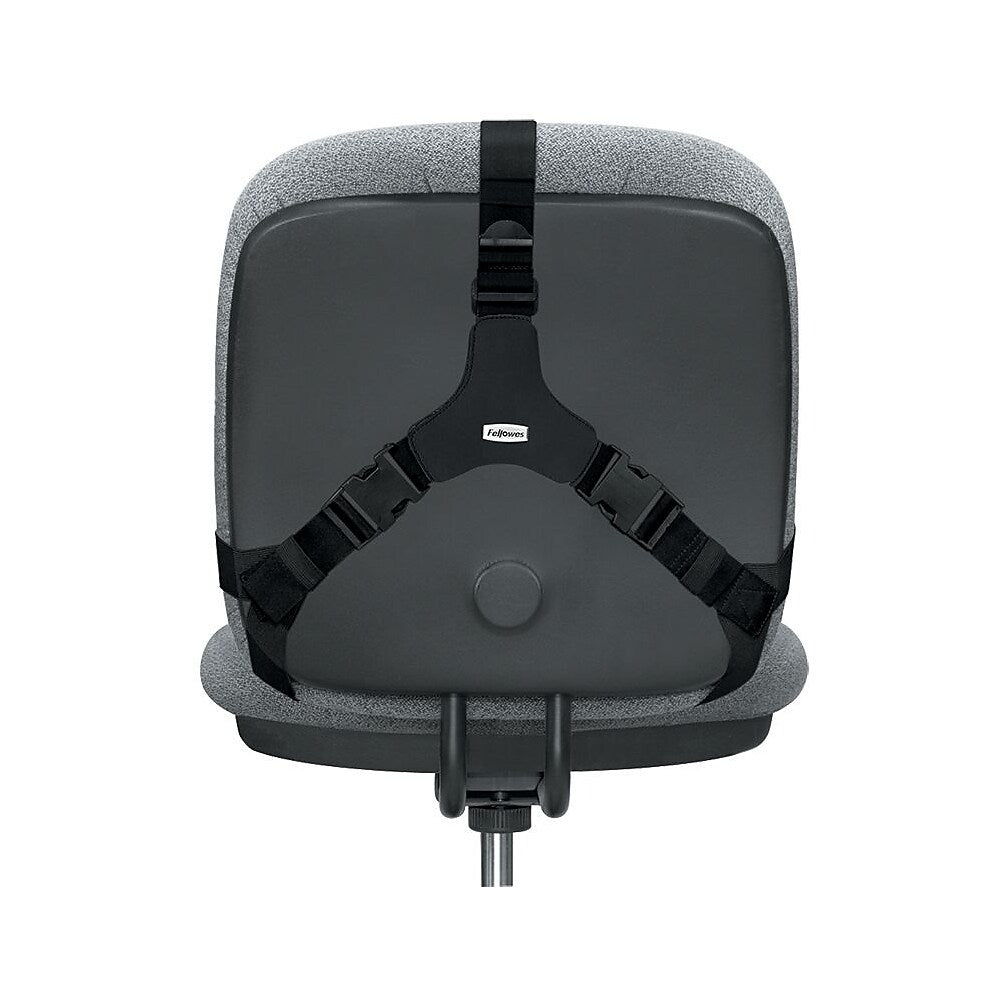 Fellowes Professional Series Back Support with Microban Protection