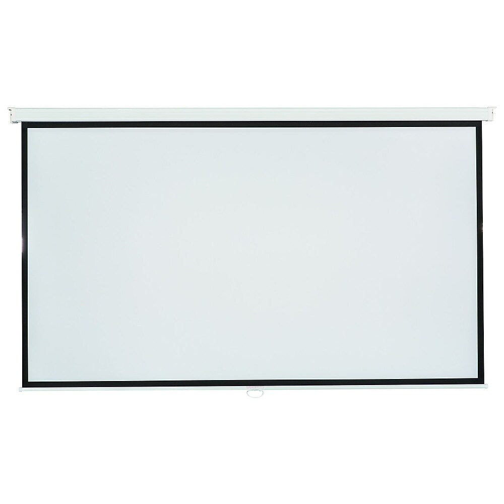 Viewsonic 100" Wall Mount Projection Screen Matte White