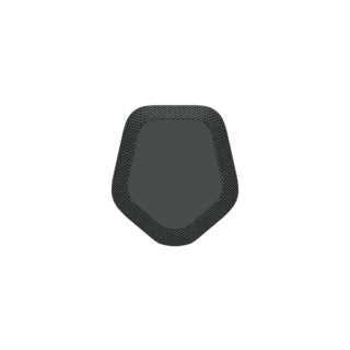 Sony SRSXE300 Portable Wireless Speaker