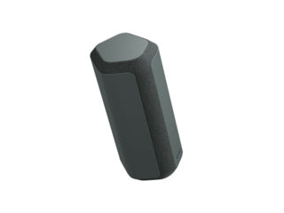 Sony SRSXE300 Portable Wireless Speaker